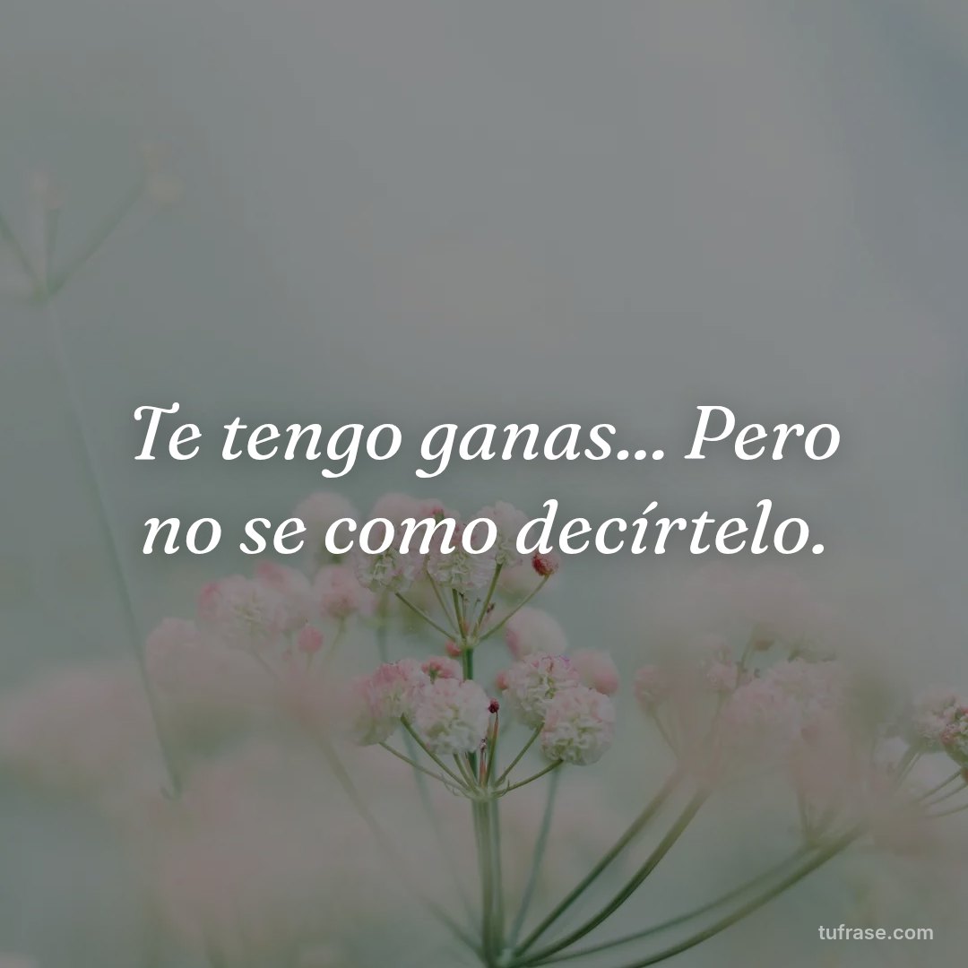 Te tengo ganas... Pero no se como decírtelo.