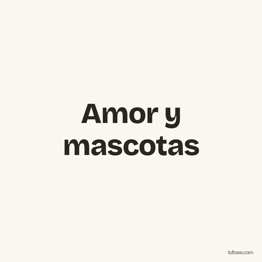 Amor y mascotas