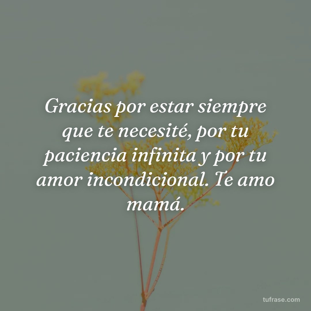 Gracias por estar siempre que te necesité, por tu paciencia infinita y por tu amor incondicional. Te amo mamá.
