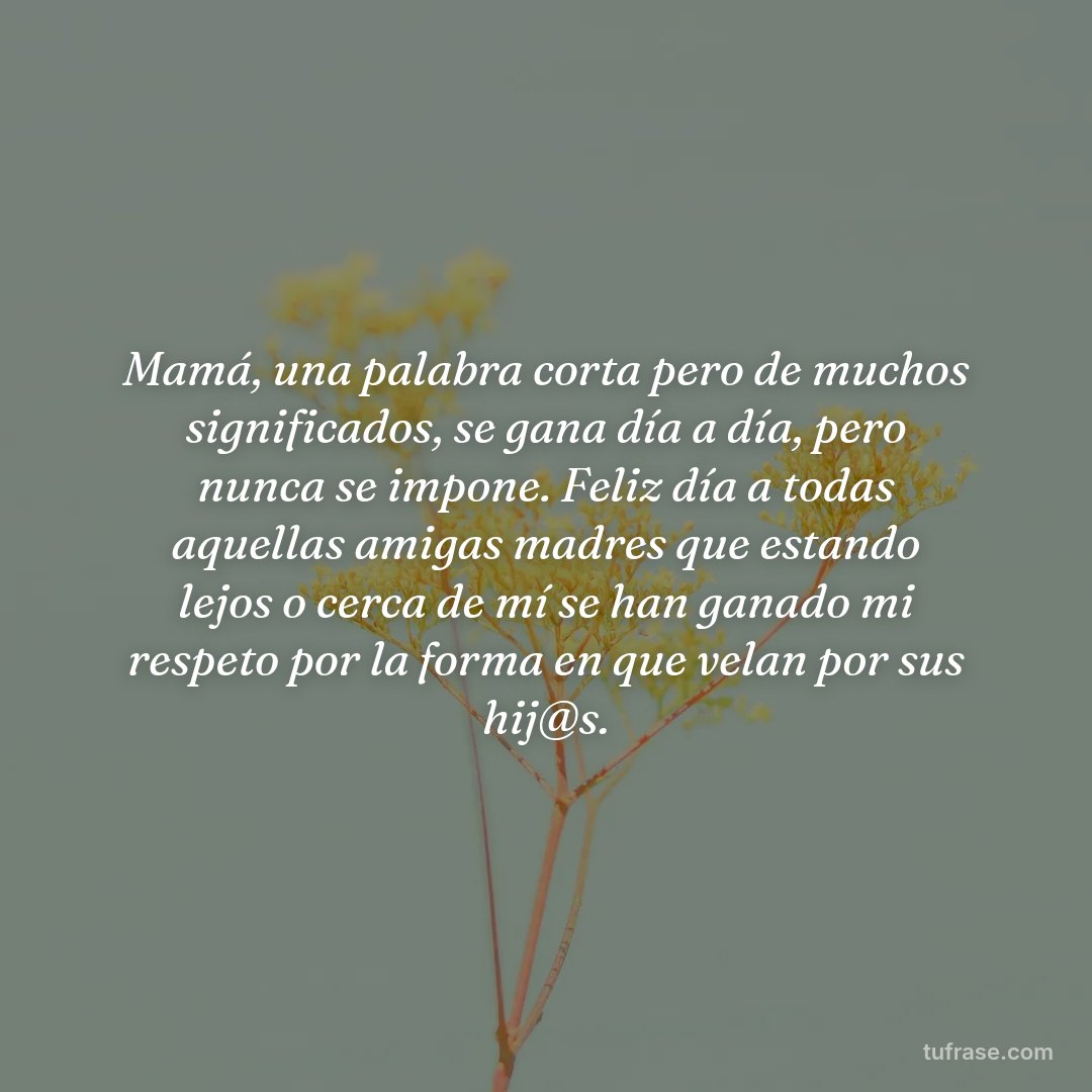 Mamá, una palabra corta pero de muchos significados, se gana día a día, pero nunca se impone. Feliz día a todas aquellas amigas madres que estando lejos o cerca de mí se han ganado mi respeto por la forma en que velan por sus hij@s.