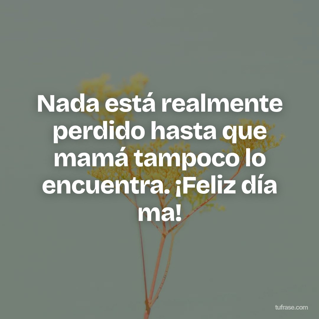 Nada está realmente perdido hasta que mamá tampoco lo encuentra. ¡Feliz día ma!