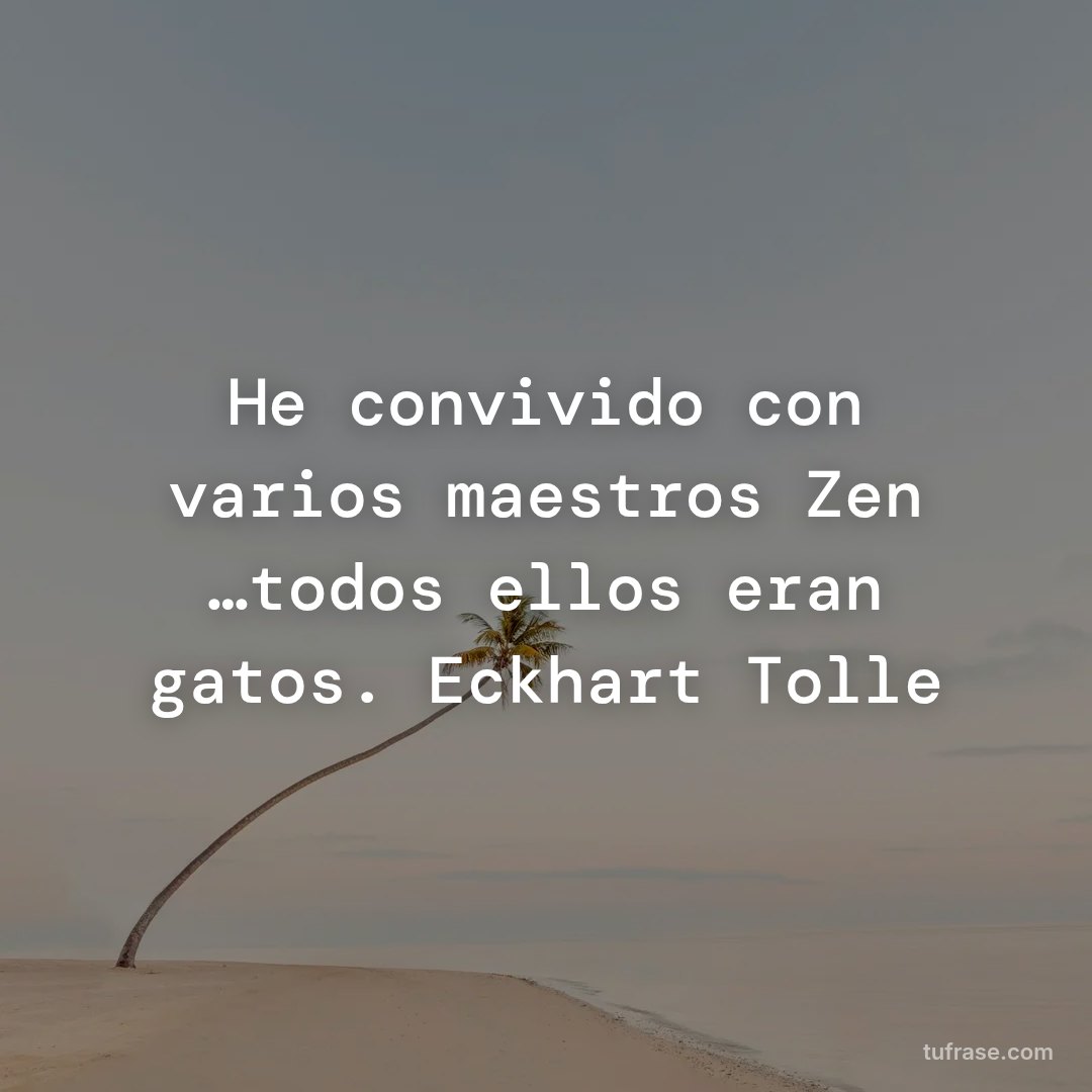 He convivido con varios maestros Zen …todos ellos eran gatos. Eckhart Tolle