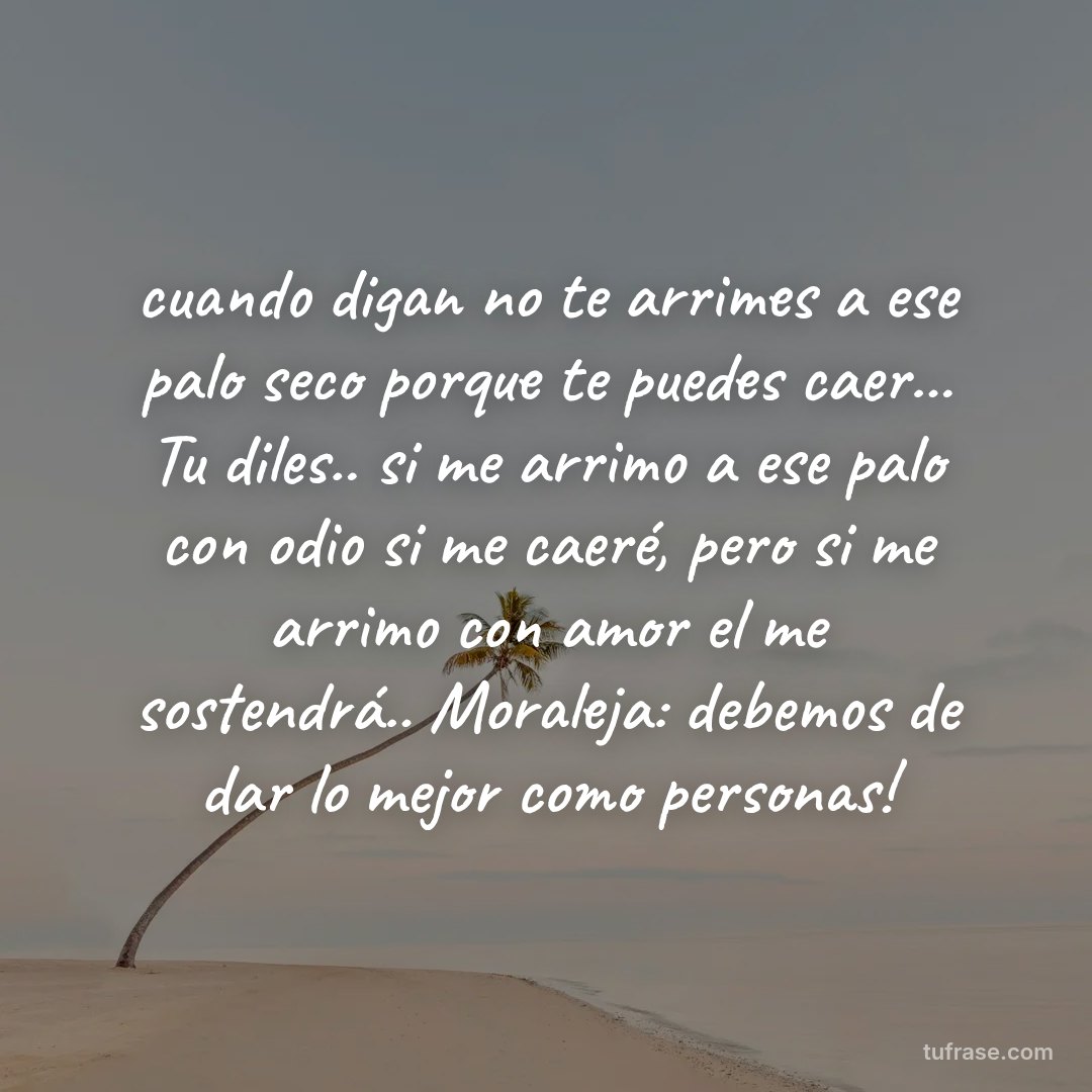 cuando digan no te arrimes a ese palo seco porque te puedes caer... Tu diles.. si me arrimo a ese palo con odio si me caeré, pero si me arrimo con amor el me sostendrá.. Moraleja: debemos de dar lo mejor como personas!