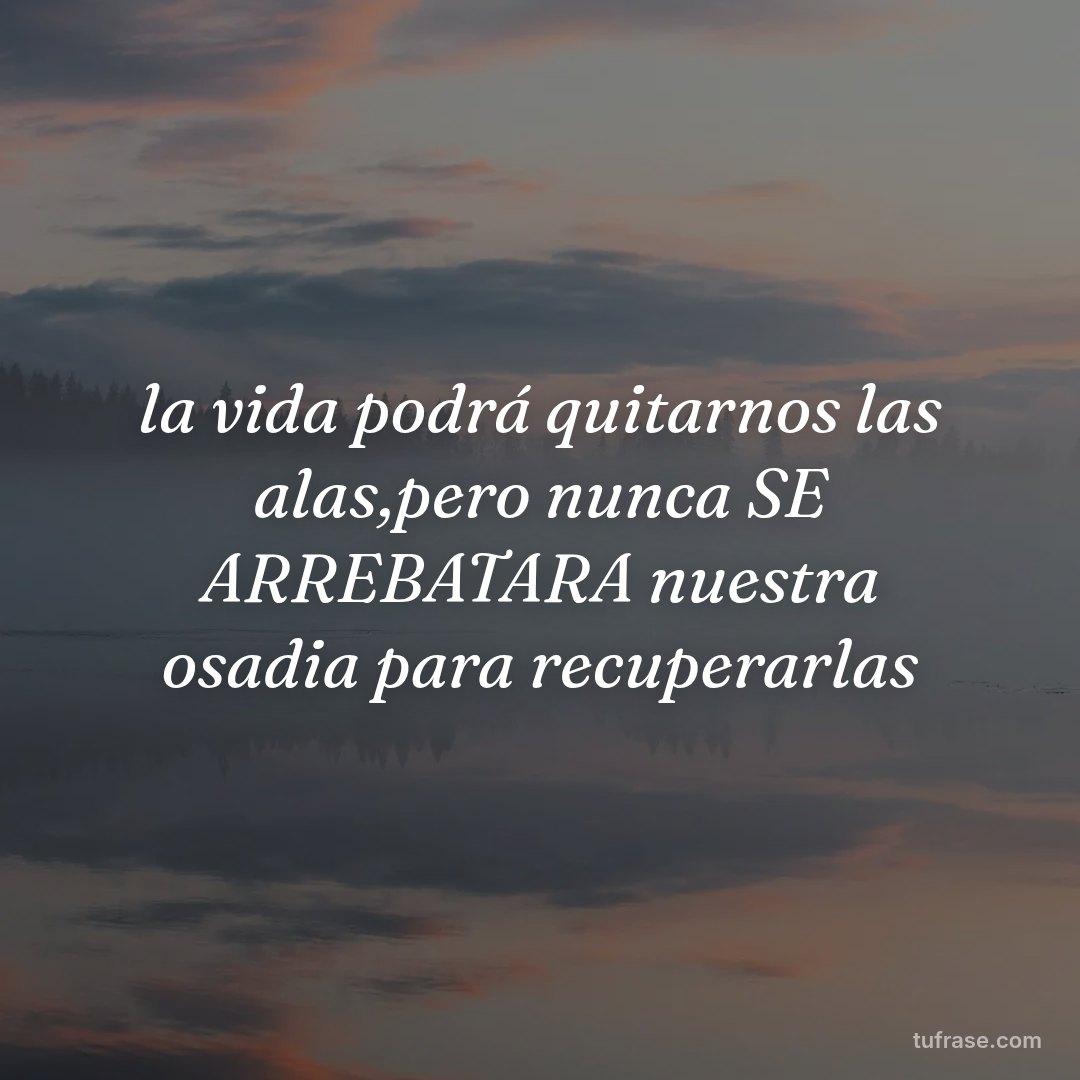 la vida podrá quitarnos las alas,pero nunca SE ARREBATARA nuestra osadia para recuperarlas