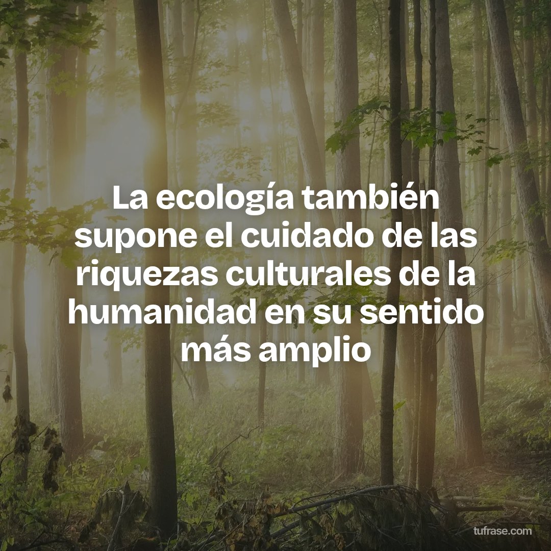 La ecología también supone el cuidado de las riquezas culturales de la humanidad en su sentido más amplio