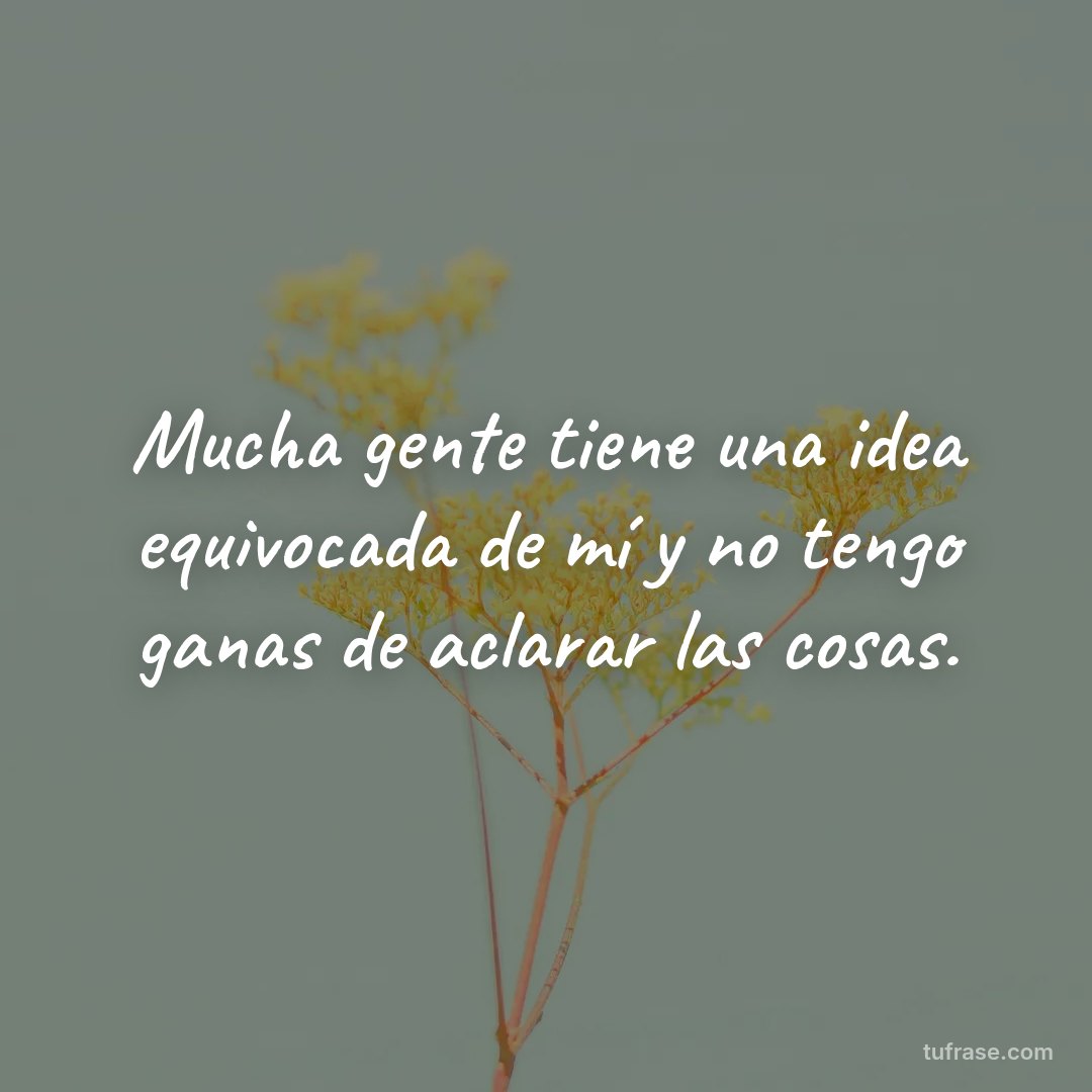 Mucha gente tiene una idea equivocada de mí y no tengo ganas de aclarar las cosas.