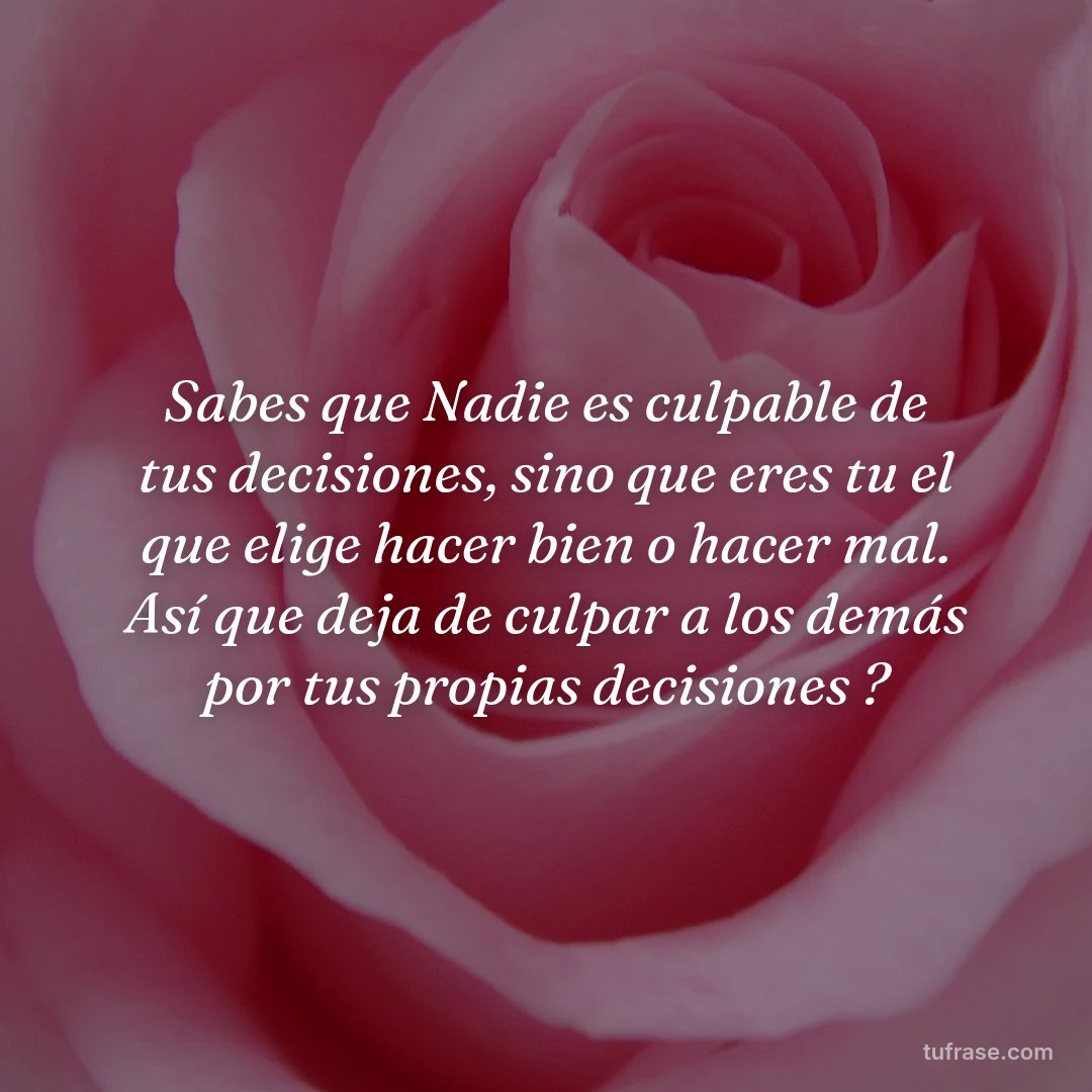 Sabes que Nadie es culpable de tus decisiones, sino que eres tu el que elige hacer bien o hacer mal. Así que deja de culpar a los demás por tus propias decisiones ?