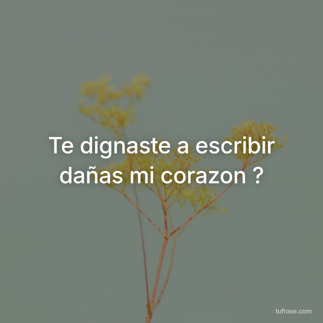 Te dignaste a escribir dañas mi corazon ?