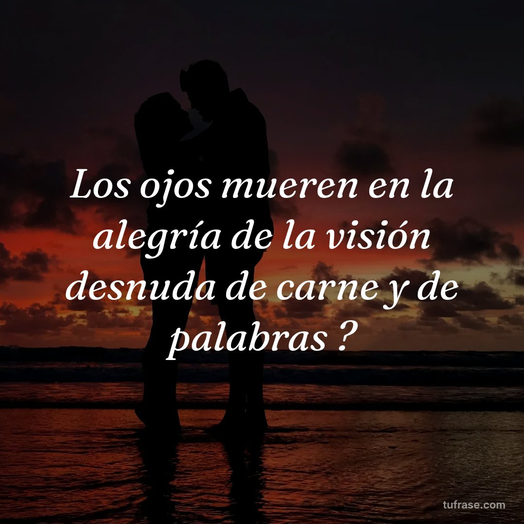 Los ojos mueren en la alegría de la visión desnuda de carne y de palabras ?