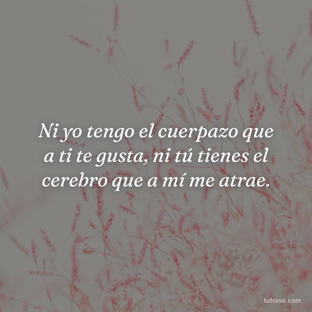 Ni yo tengo el cuerpazo que a ti te gusta, ni tú tienes el cerebro que a mí me atrae.
