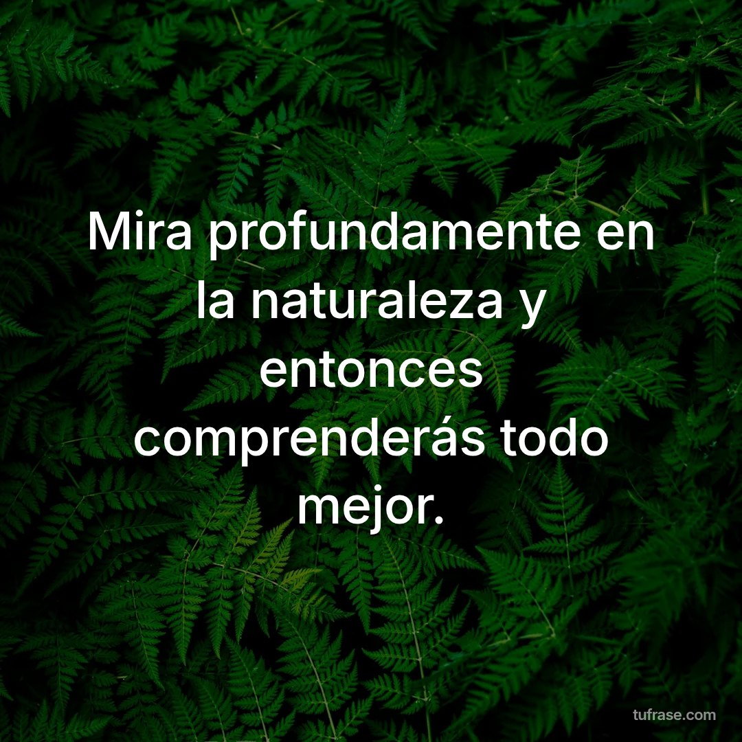 Mira profundamente en la naturaleza y entonces comprenderás todo mejor.