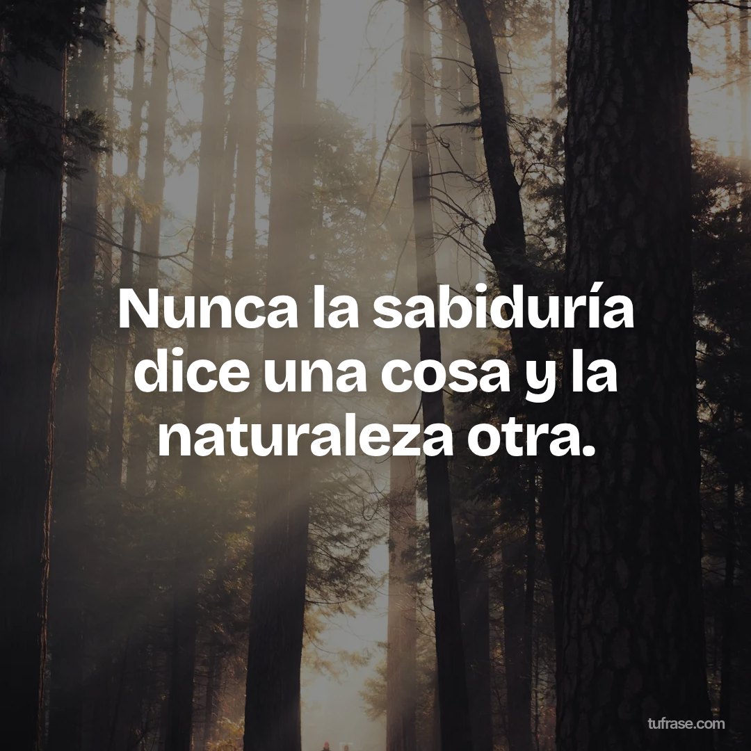 Nunca la sabiduría dice una cosa y la naturaleza otra.