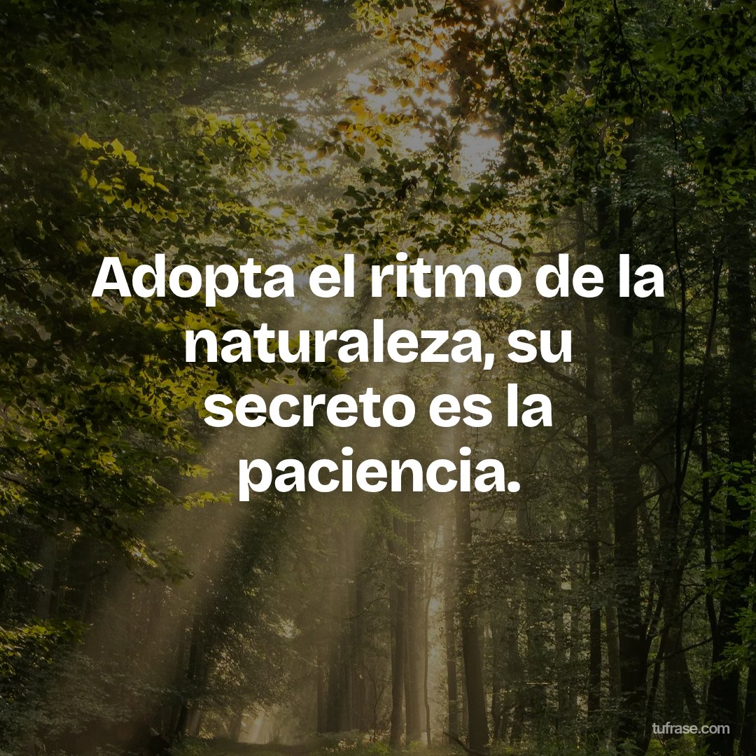 Adopta el ritmo de la naturaleza, su secreto es la paciencia.