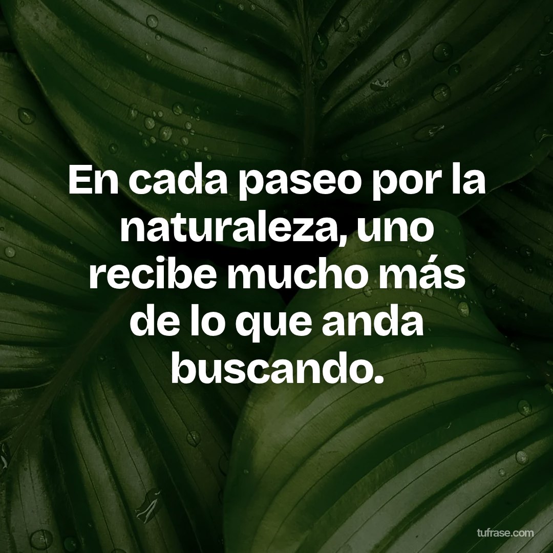 En cada paseo por la naturaleza, uno recibe mucho más de lo que anda buscando.