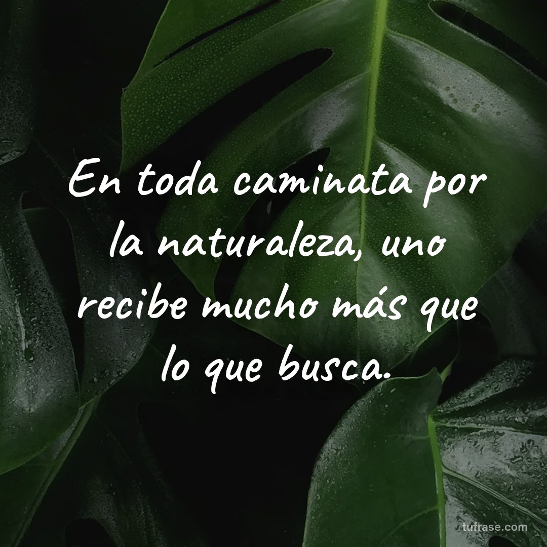 En toda caminata por la naturaleza, uno recibe mucho más que lo que busca.