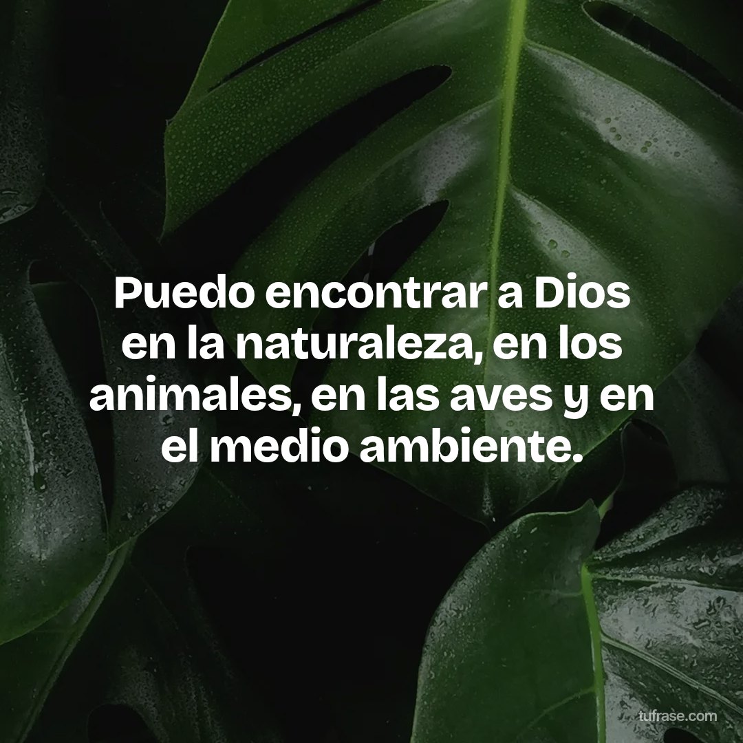 Puedo encontrar a Dios en la naturaleza, en los animales, en las aves y en el medio ambiente.