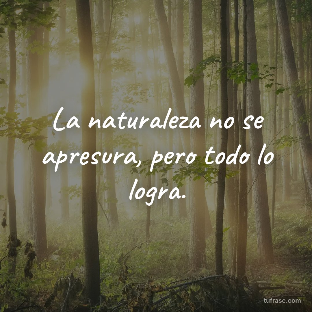 La naturaleza no se apresura, pero todo lo logra.