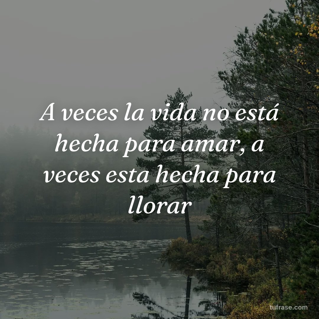 A veces la vida no está hecha para amar, a veces esta hecha para llorar