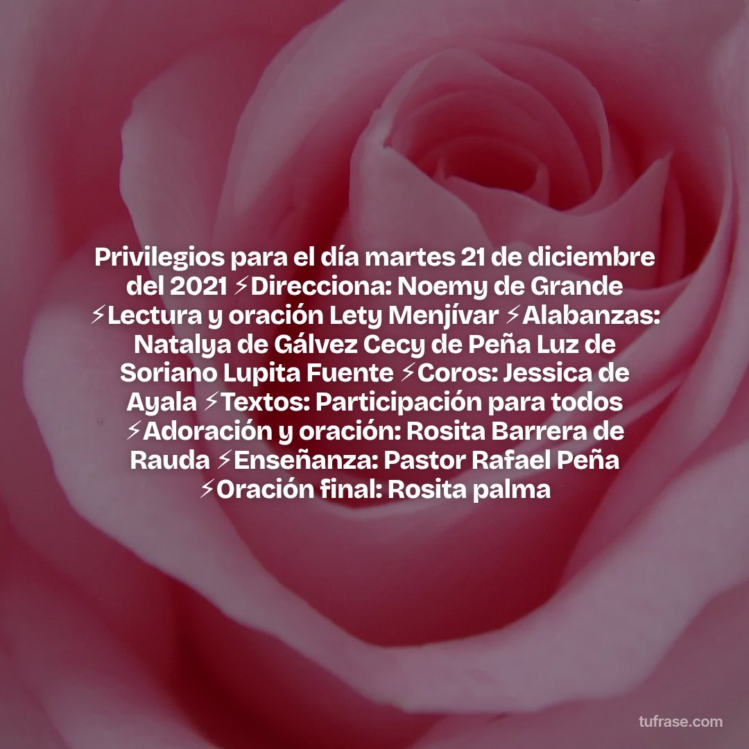 Privilegios para el día martes 21 de diciembre del 2021 ⚡Direcciona: Noemy de Grande ⚡Lectura y oración Lety Menjívar ⚡Alabanzas: Natalya de Gálvez Cecy de Peña Luz de Soriano Lupita Fuente ⚡Coros: Jessica de Ayala ⚡Textos: Participación para todos ⚡Adoración y oración: Rosita Barrera de Rauda ⚡Enseñanza: Pastor Rafael Peña ⚡Oración final: Rosita palma