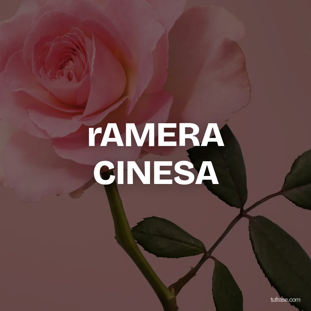 rAMERA CINESA