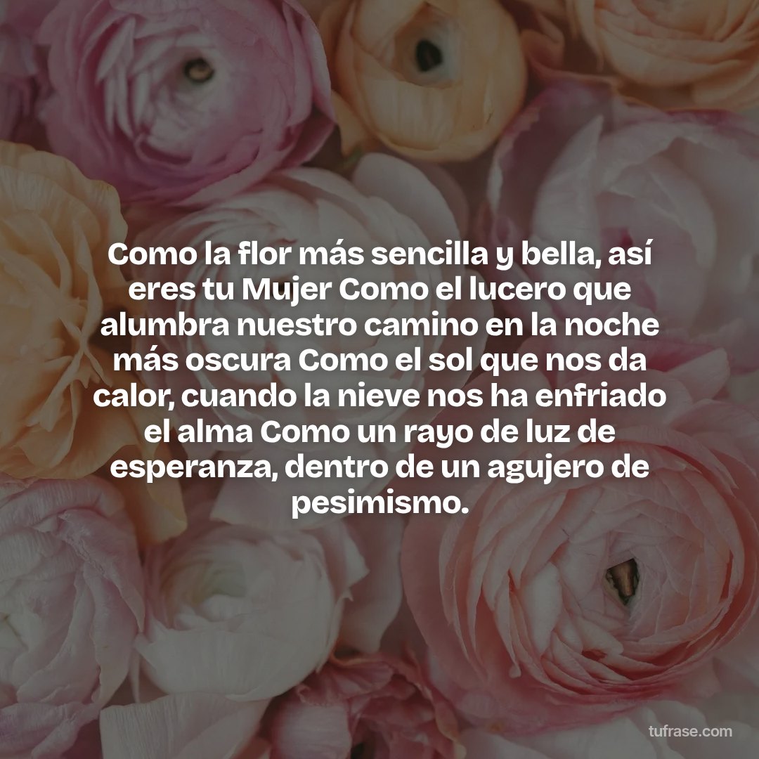 Como la flor más sencilla y bella, así eres tu Mujer Como el lucero que alumbra nuestro camino en la noche más oscura Como el sol que nos da calor, cuando la nieve nos ha enfriado el alma Como un rayo de luz de esperanza, dentro de un agujero de pesimismo.