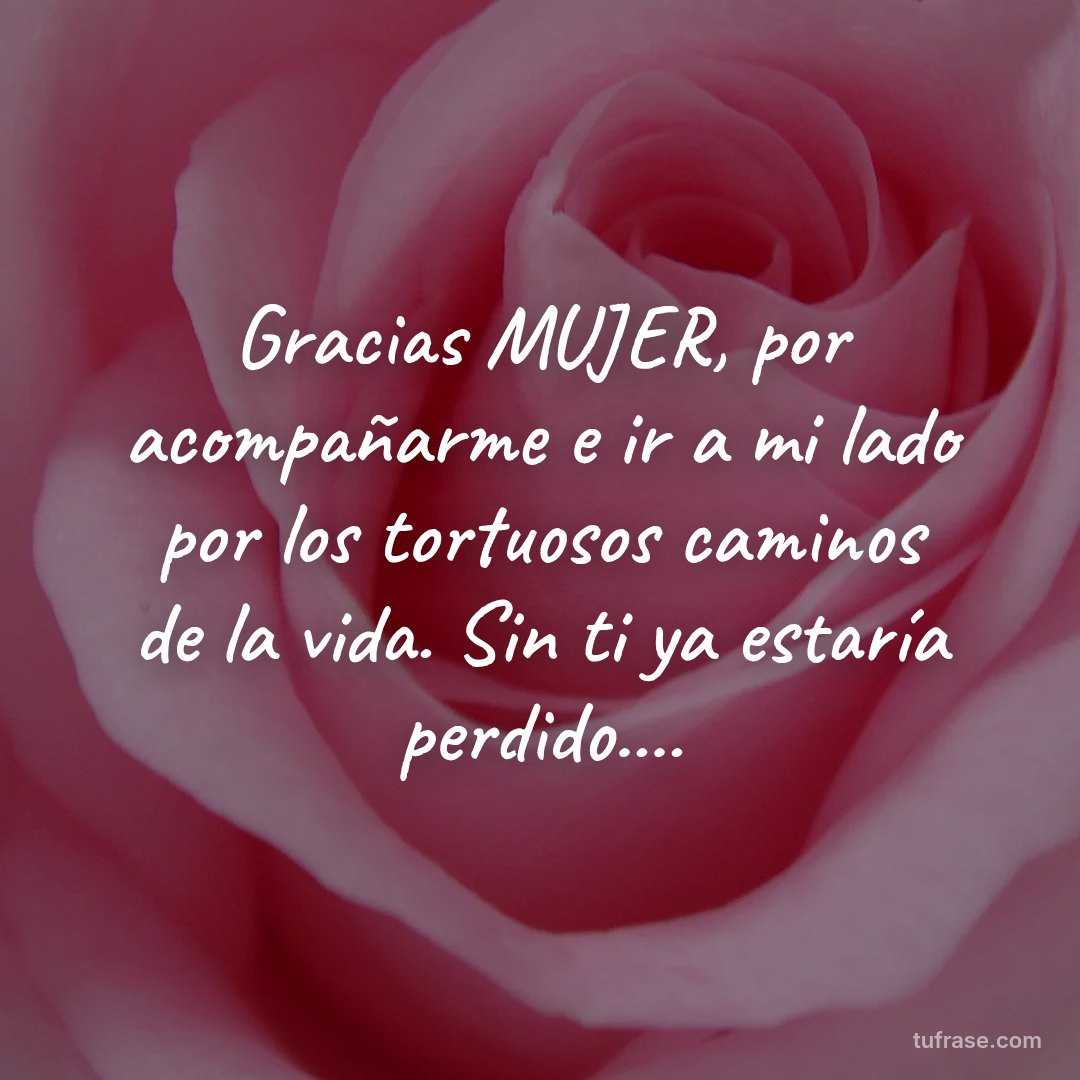 Gracias MUJER, por acompañarme e ir a mi lado por los tortuosos caminos de la vida. Sin ti ya estaría perdido....