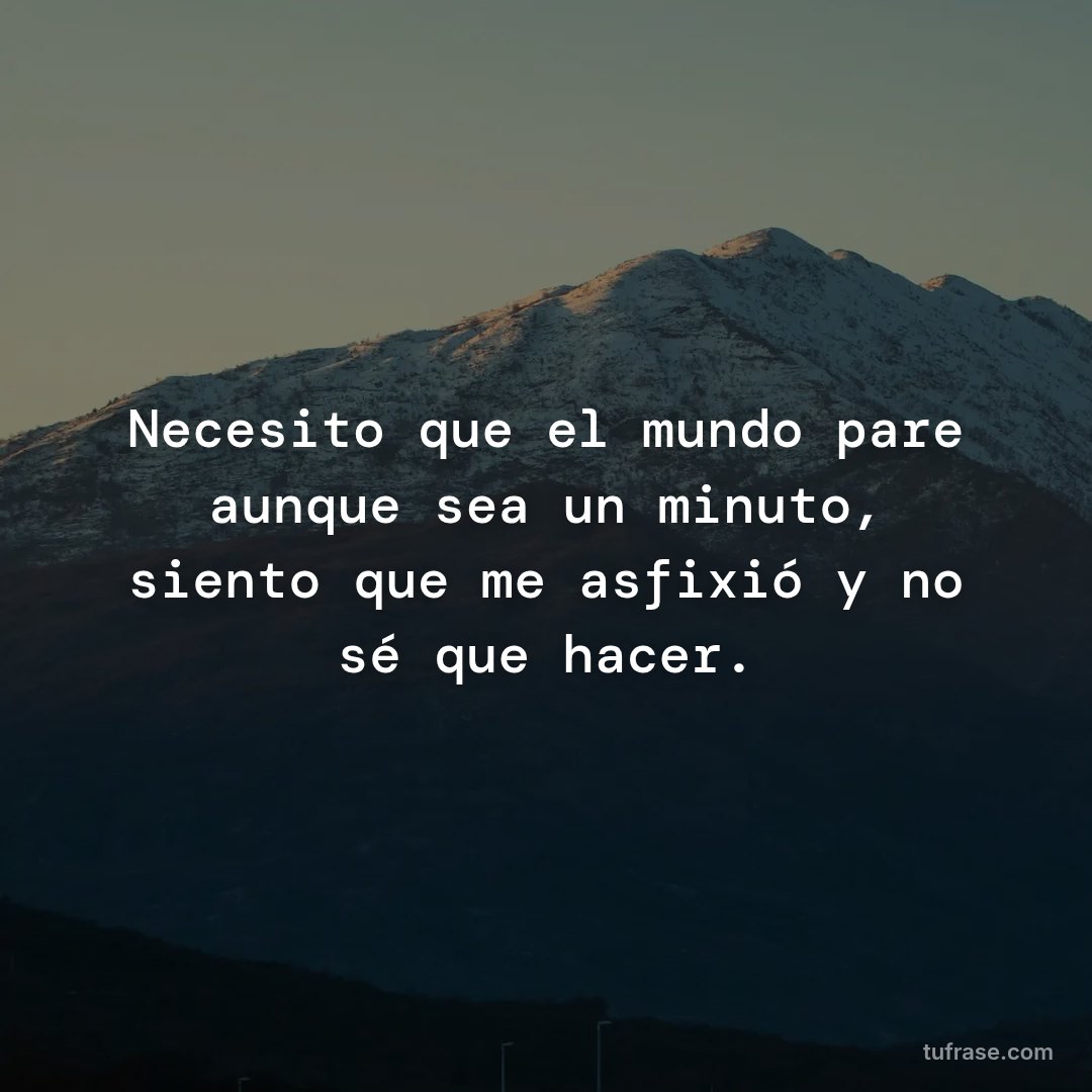 Necesito que el mundo pare aunque sea un minuto, siento que me asfixió y no sé que hacer.