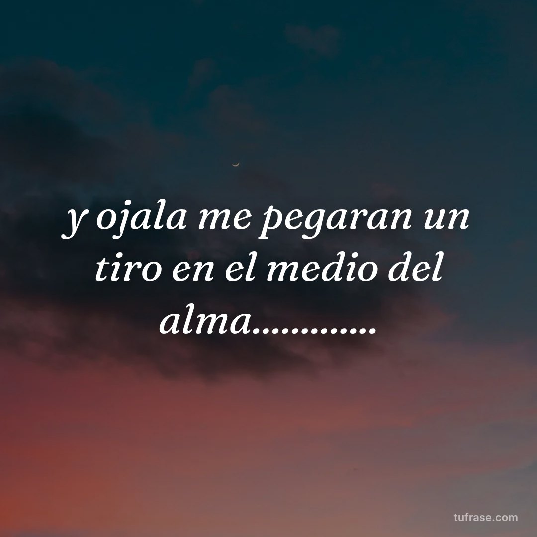 y ojala me pegaran un tiro en el medio del alma.............
