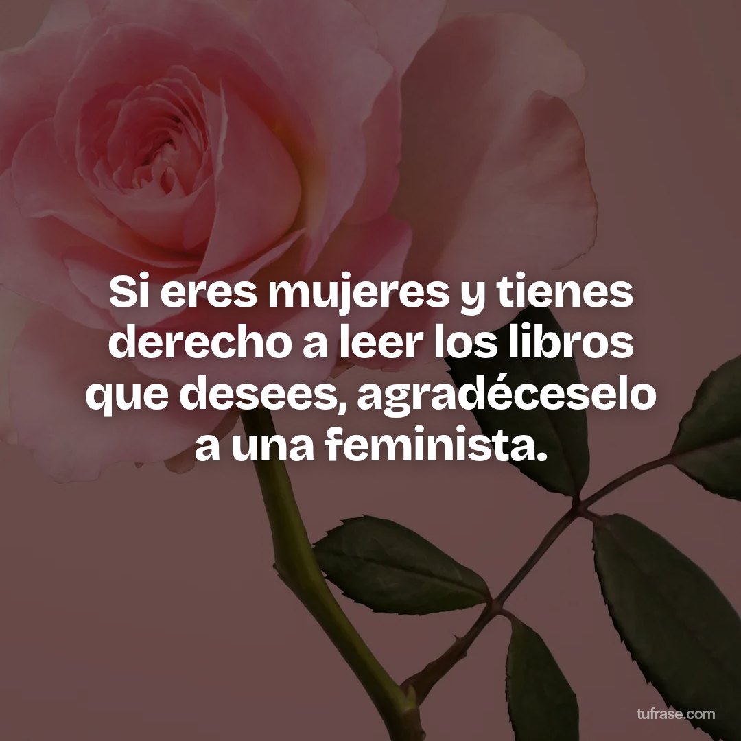 Si eres mujeres y tienes derecho a leer los libros que desees, agradéceselo a una feminista.