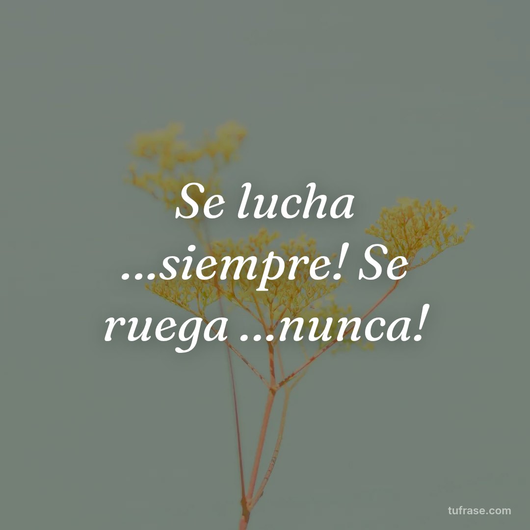 Se lucha …siempre! Se ruega …nunca!