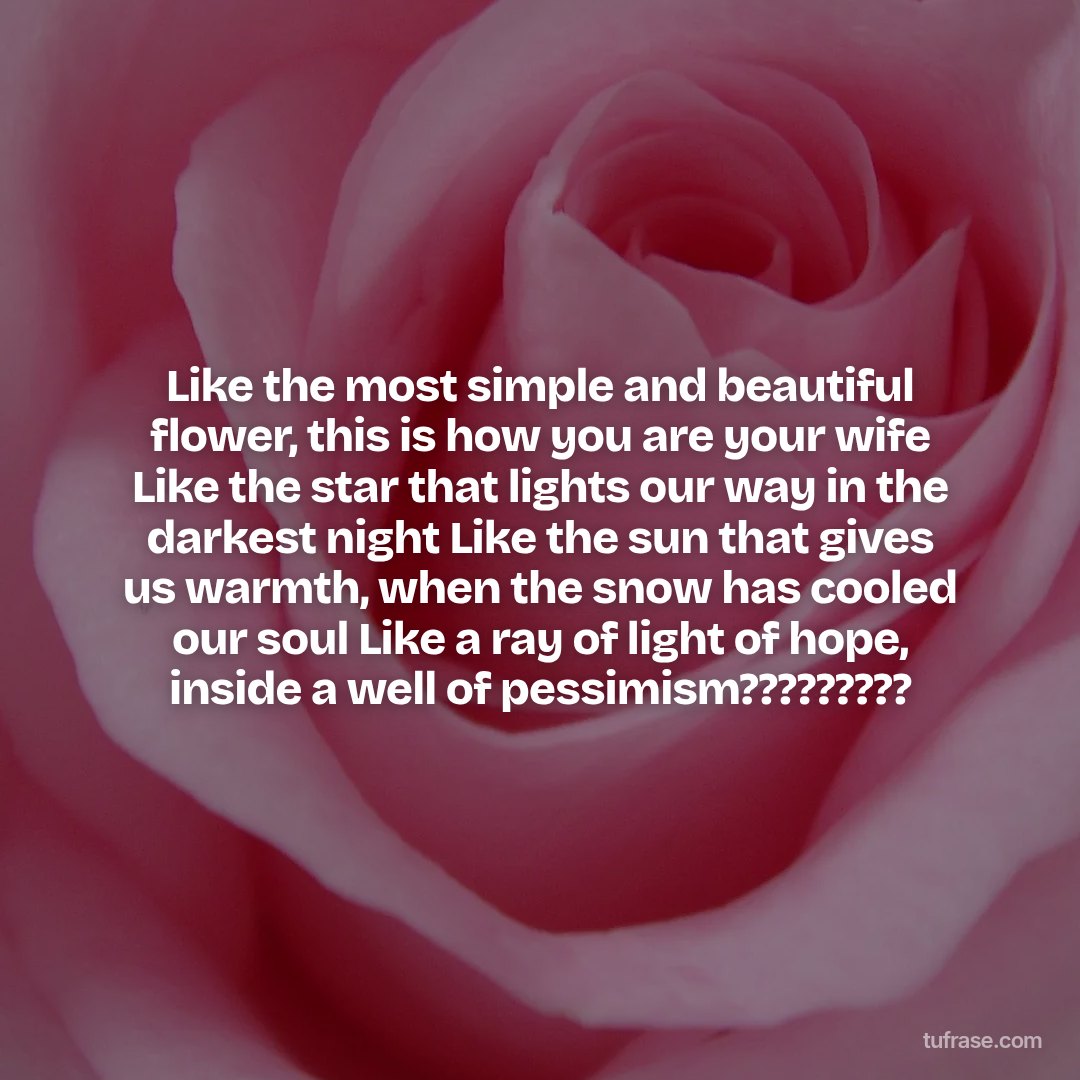 Like the most simple and beautiful flower, this is how you are your wife Like the star that lights our way in the darkest night Like the sun that gives us warmth, when the snow has cooled our soul Like a ray of light of hope, inside a well of pessimism?????????