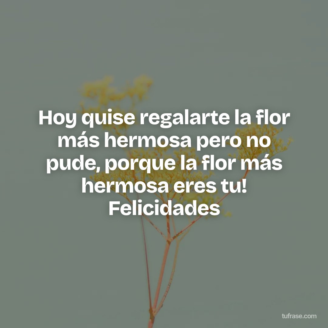 Hoy quise regalarte la flor más hermosa pero no pude, porque la flor más hermosa eres tu! Felicidades