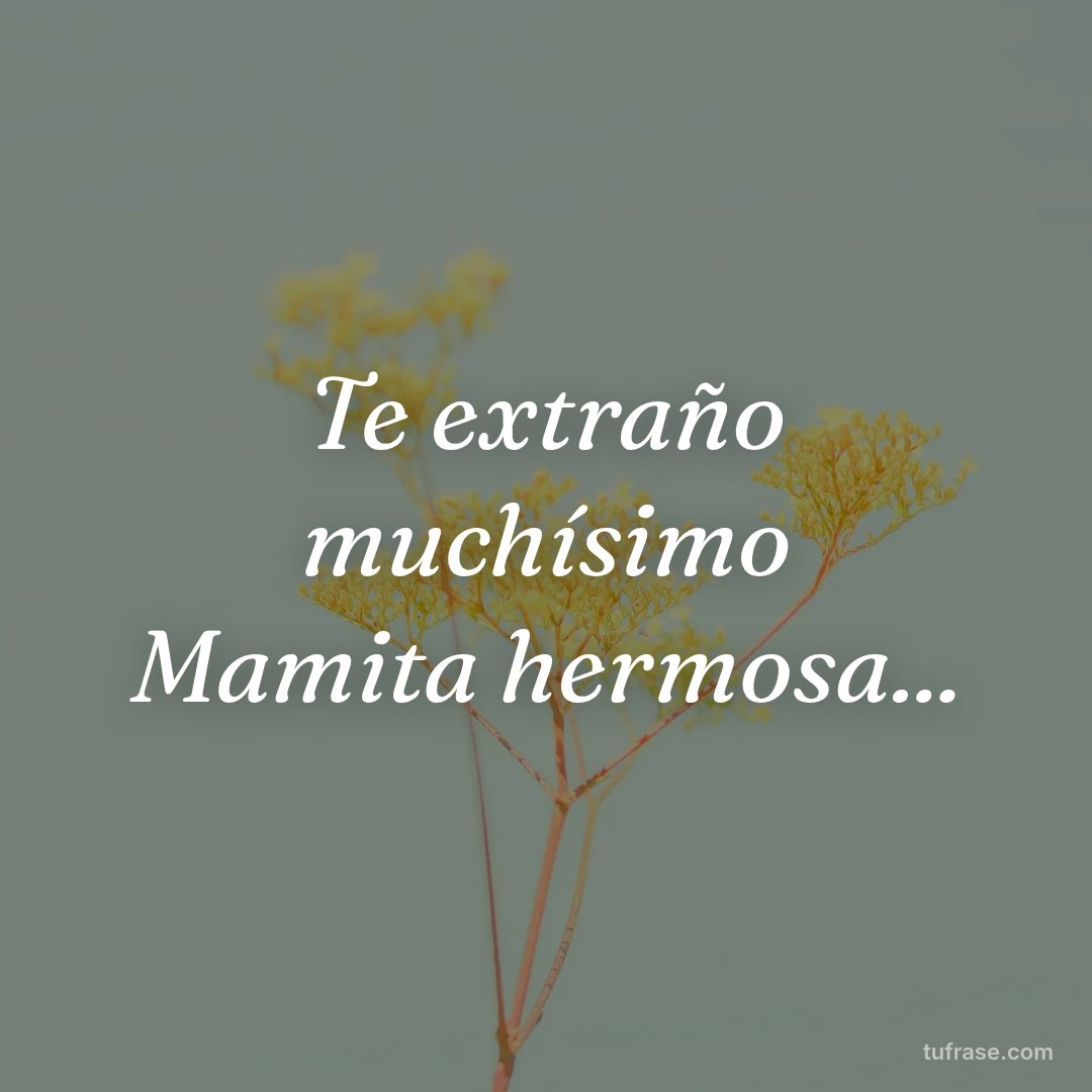 Te extraño muchísimo Mamita hermosa...
