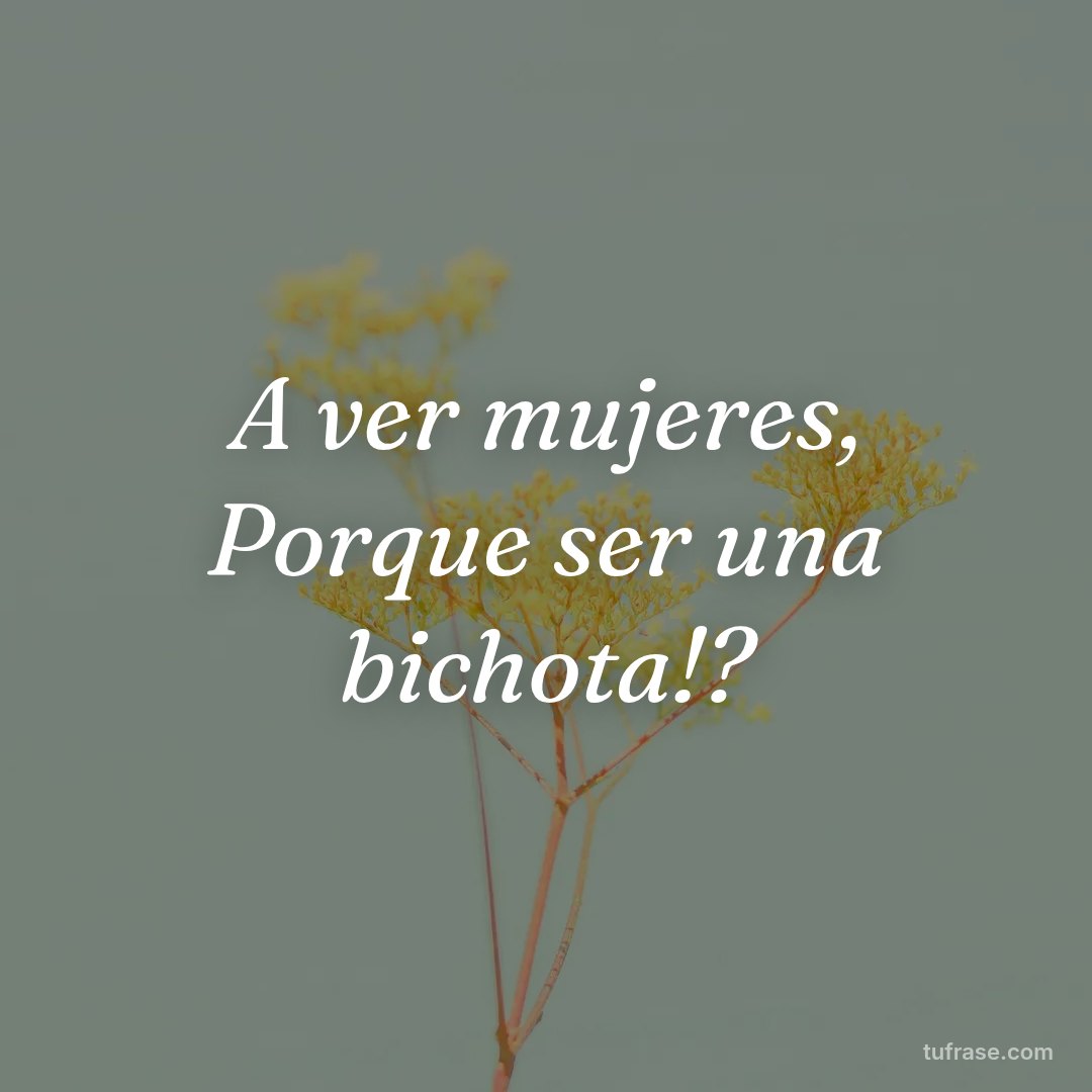 A ver mujeres, Porque ser una bichota!?