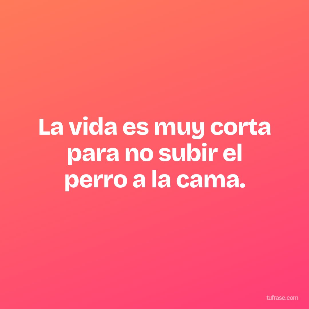 La vida es muy corta para no subir el perro a la cama.