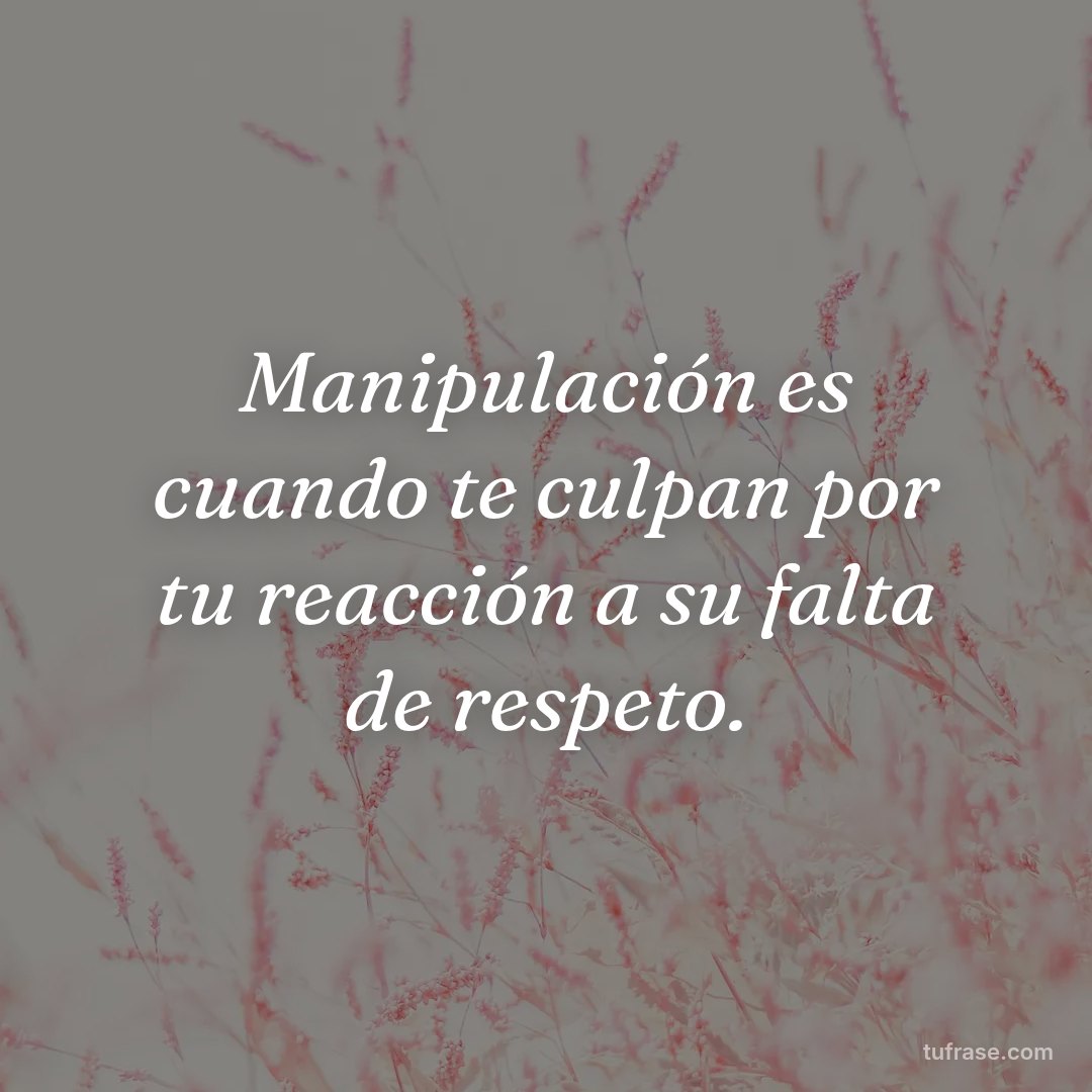 Manipulación es cuando te culpan por tu reacción a su falta de respeto.