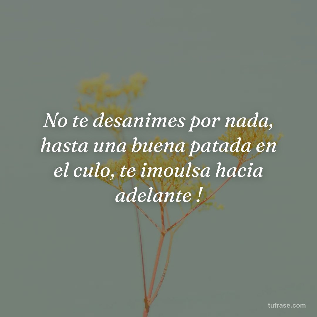 No te desanimes por nada, hasta una buena patada en el culo, te imoulsa hacia adelante !
