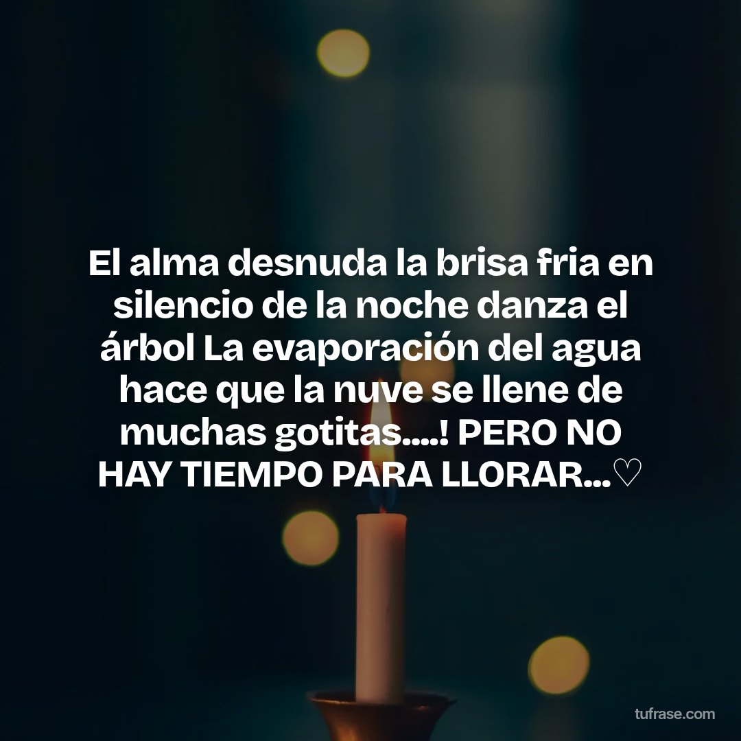 El alma desnuda la brisa fria en silencio de la noche danza el árbol La evaporación del agua hace que la nuve se llene de muchas gotitas....! PERO NO HAY TIEMPO PARA LLORAR...♡