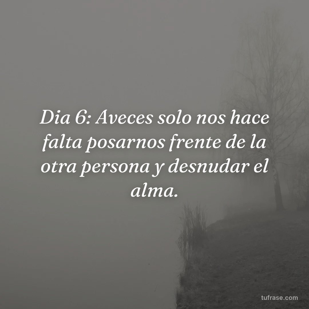 Dia 6: Aveces solo nos hace falta posarnos frente de la otra persona y desnudar el alma.