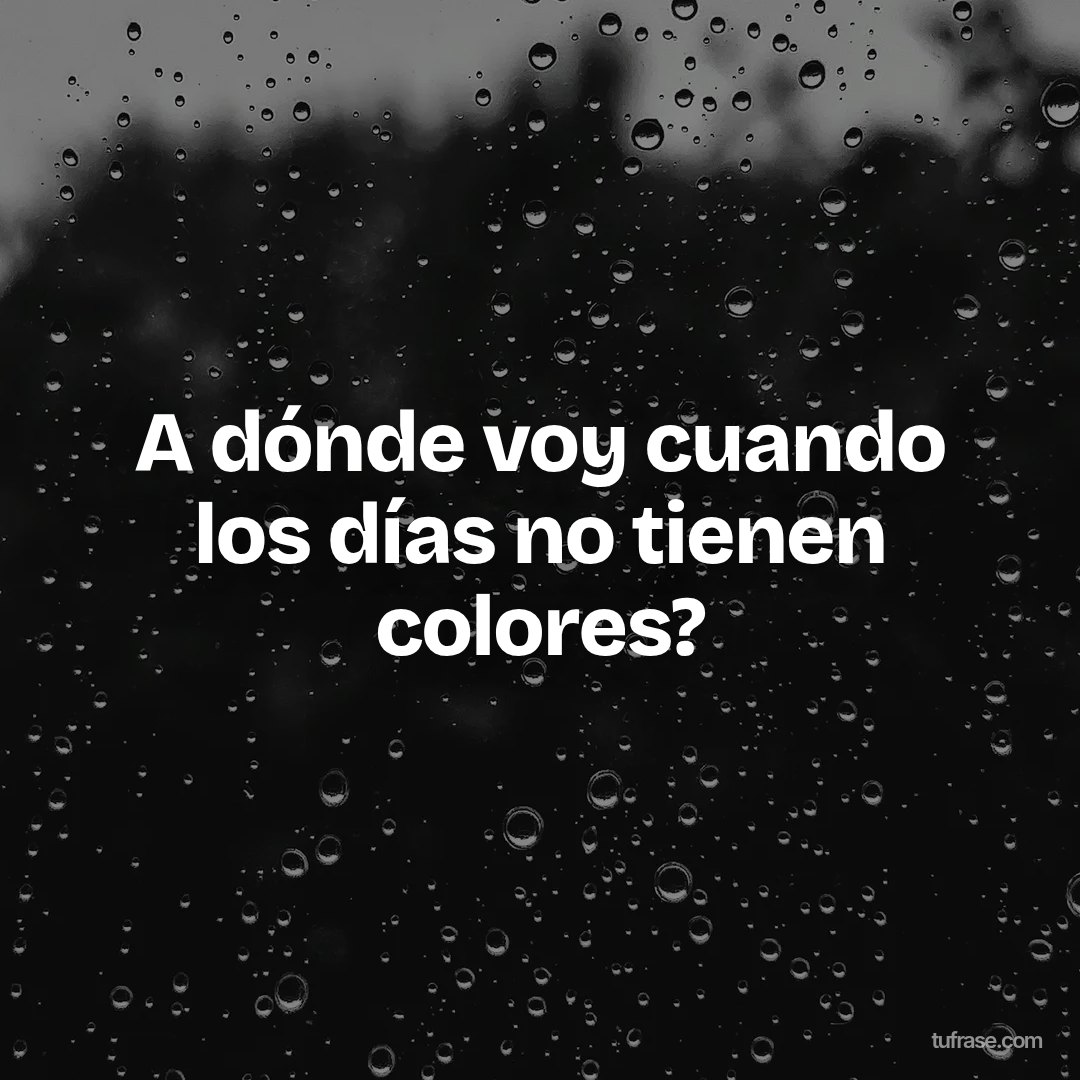 A dónde voy cuando los días no tienen colores?