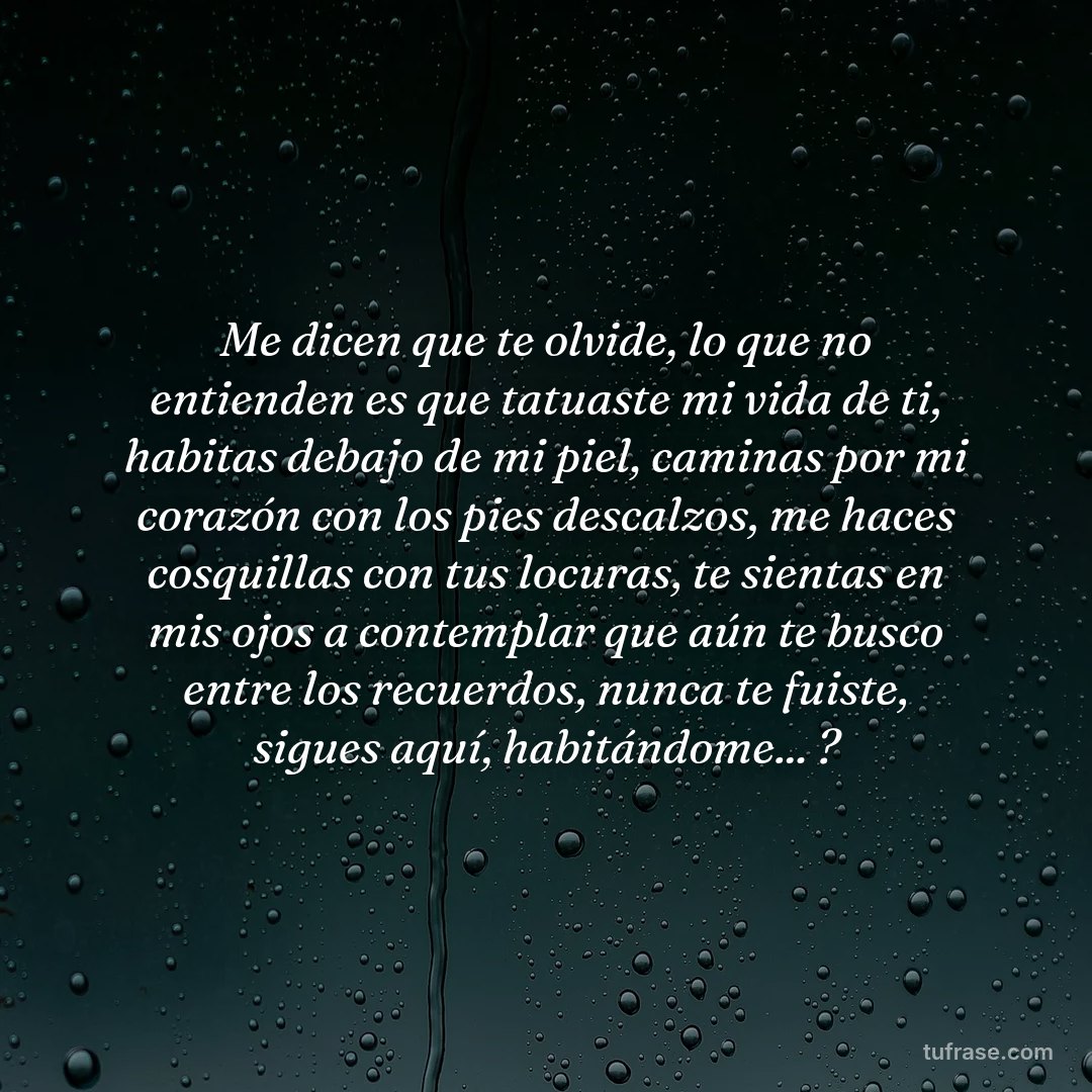 Me dicen que te olvide, lo que no entienden es que tatuaste mi vida de ti, habitas debajo de mi piel, caminas por mi corazón con los pies descalzos, me haces cosquillas con tus locuras, te sientas en mis ojos a contemplar que aún te busco entre los recuerdos, nunca te fuiste, sigues aquí, habitándome... ?