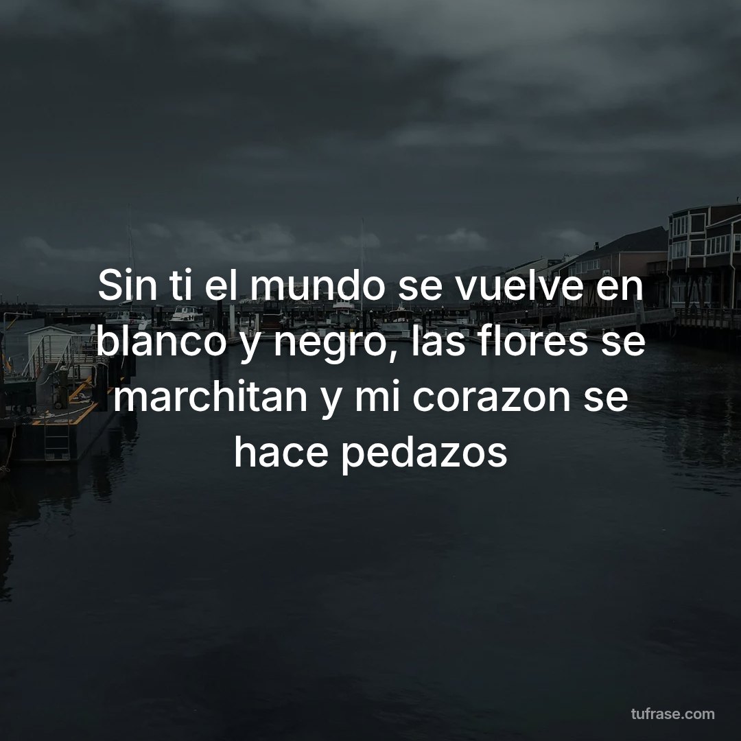 Sin ti el mundo se vuelve en blanco y negro, las flores se marchitan y mi corazon se hace pedazos