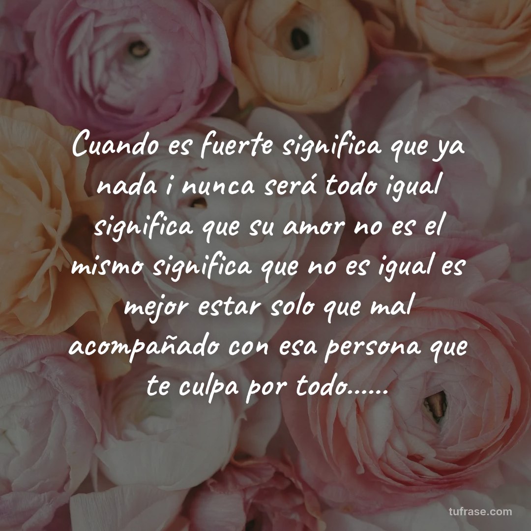 Cuando es fuerte significa que ya nada i nunca será todo igual significa que su amor no es el mismo significa que no es igual es mejor estar solo que mal acompañado con esa persona que te culpa por todo......