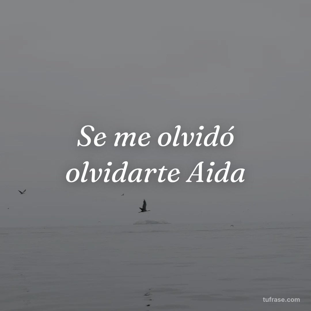 Se me olvidó olvidarte Aida