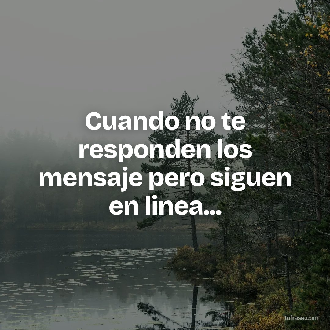 Cuando no te responden los mensaje pero siguen en linea...