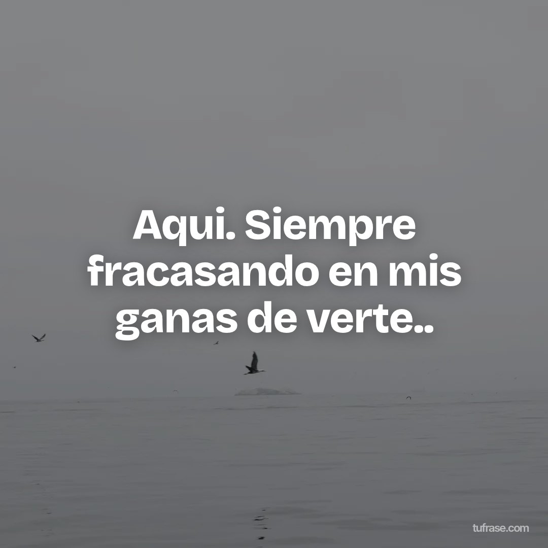 Aqui. Siempre fracasando en mis ganas de verte..