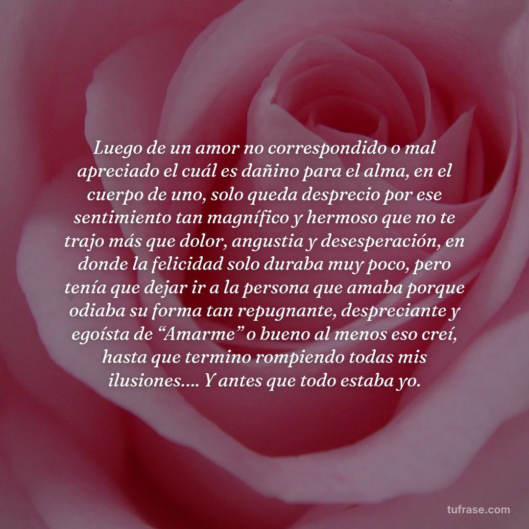 Luego de un amor no correspondido o mal apreciado el cuál es dañino para el alma, en el cuerpo de uno, solo queda desprecio por ese sentimiento tan magnífico y hermoso que no te trajo más que dolor, angustia y desesperación, en donde la felicidad solo duraba muy poco, pero tenía que dejar ir a la persona que amaba porque odiaba su forma tan repugnante, despreciante y egoísta de “Amarme” o bueno al menos eso creí, hasta que termino rompiendo todas mis ilusiones…. Y antes que todo estaba yo.