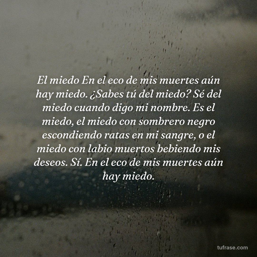 El miedo En el eco de mis muertes aún hay miedo. ¿Sabes tú del miedo? Sé del miedo cuando digo mi nombre. Es el miedo, el miedo con sombrero negro escondiendo ratas en mi sangre, o el miedo con labio muertos bebiendo mis deseos. Sí. En el eco de mis muertes aún hay miedo.