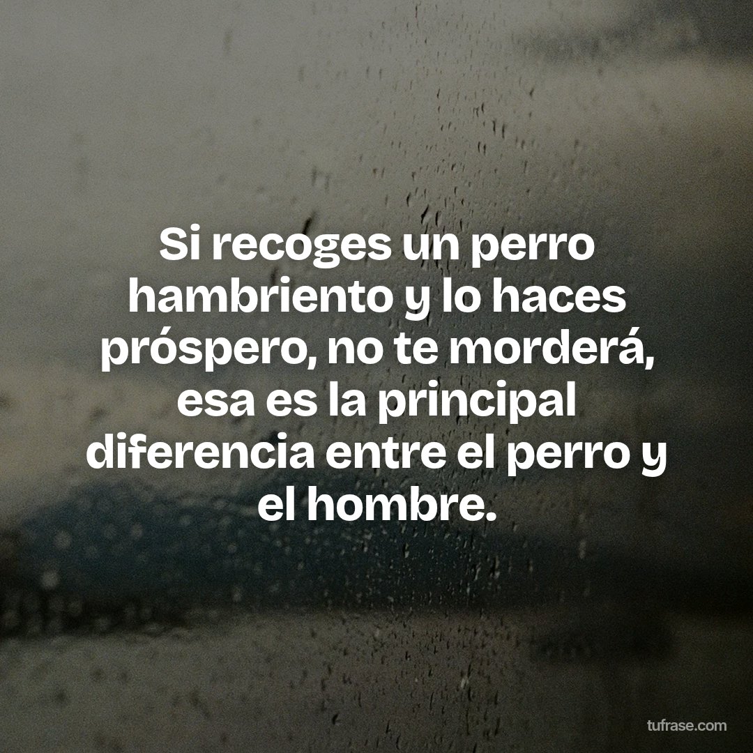 Si recoges un perro hambriento y lo haces próspero, no te morderá, esa es la principal diferencia entre el perro y el hombre.
