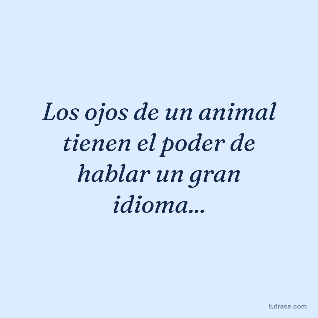 Los ojos de un animal tienen el poder de hablar un gran idioma...